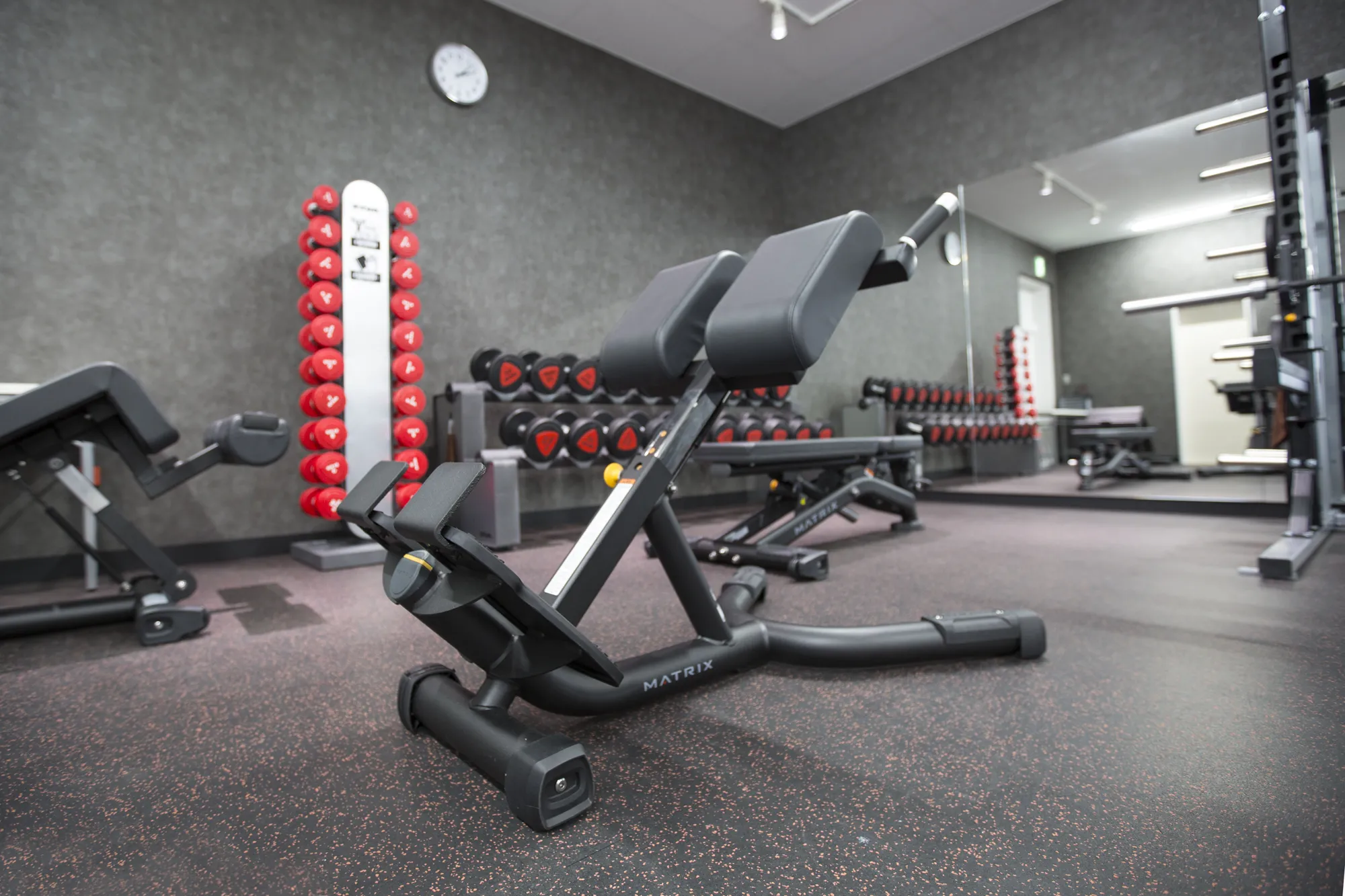 充実のサポート体制で、ジム初心者でも安心！好評です。｜ミラ